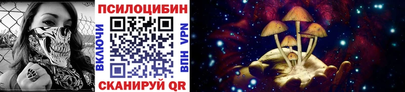 Купить  Сосновый Бор  Псилоцибиновые грибы Magic Shrooms 